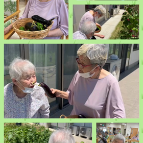 まったりとした1日の画像