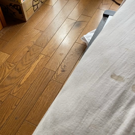 What you to stay?の画像