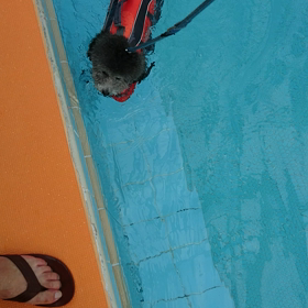 最初は。。。の画像