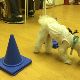 見習って！の画像