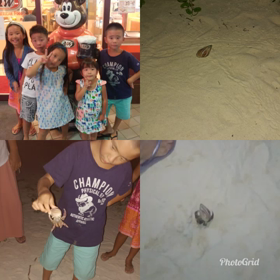 宮古島 3日目 続きの画像