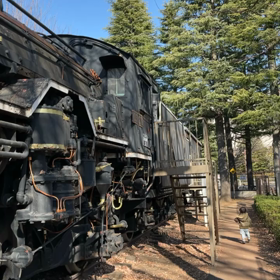 今週のことの画像