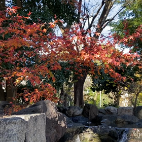 苦手なことの画像