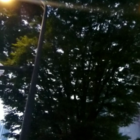 おはです！の画像