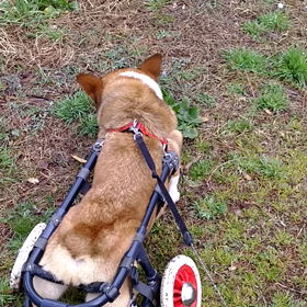 雨の予報だけど、晴れ。の画像