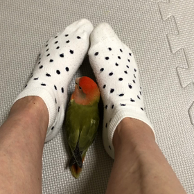 フットケアサロンへの画像