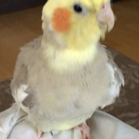 今日から授業や。。の画像