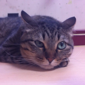 ちょっと…な演奏を聴くと。の画像