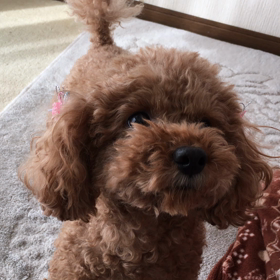 楽しいのは一瞬だけどやめれないの画像