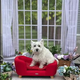 ナガノインテリア撮影会の画像