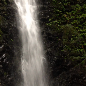 全てを受け入れ、全てを受け入れられて、私達は生かされているの画像