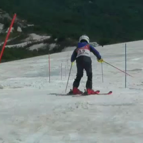 そしてロングポールの画像