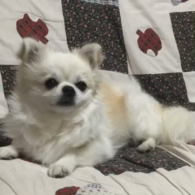 コタロウ君から皆さんへの画像