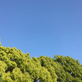 19年ぶりに歌ってみた。の画像