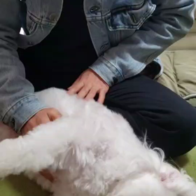 お出迎え！の画像