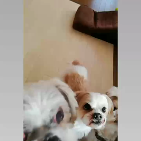 おやつの時間だよ♬の画像