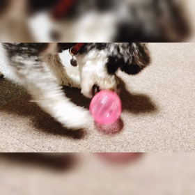 喉元過ぎれば．．な、おうち遊びの画像