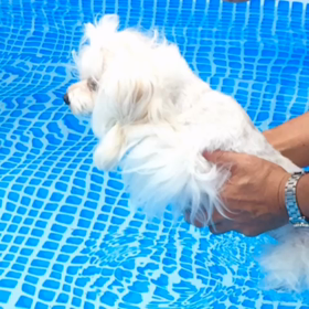 初めてのスイミング〜(^o^)/の画像