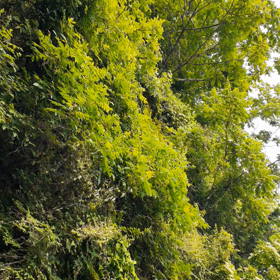 サボっての画像