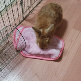 そろそろリズム、変えなくちゃ。の画像