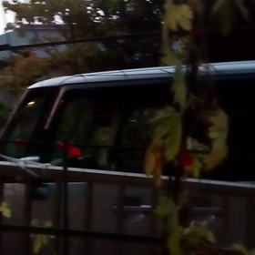 静けさや　岩に染み入る　セミの声の画像