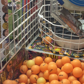 ダンボー狙いでの画像