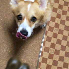 Ｉ♡グリニーズの画像