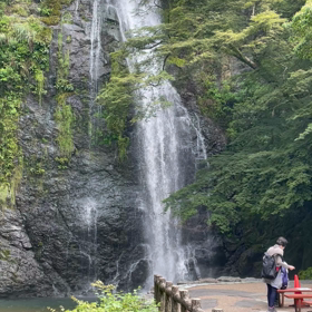 今朝の滝の画像