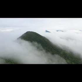 集客&Instagram代行の画像