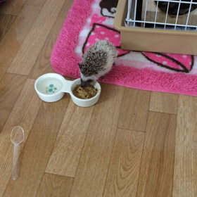 ★ぉ姫様★の画像