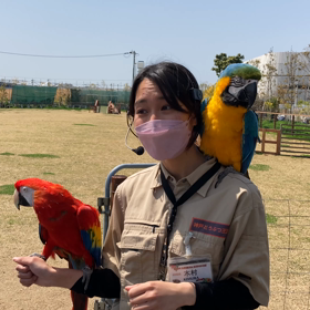 お散歩動画配信の記録２の画像