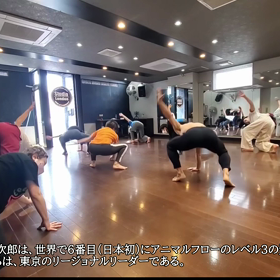 アニマルフロー動画後半の画像