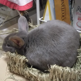 男心をつかむにはの画像