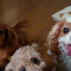 さ～おやつの時間だよ‼️の画像