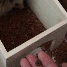 79日目&80日目特に変化はなしの画像