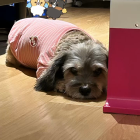 2023/10/14  インスタストーリー更新の画像