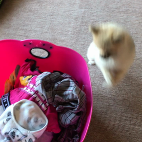 どーしても、そこから？の画像