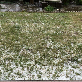 雹が降ってきたー！の画像