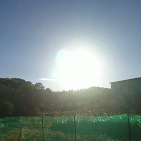 今日は、動画で。の画像