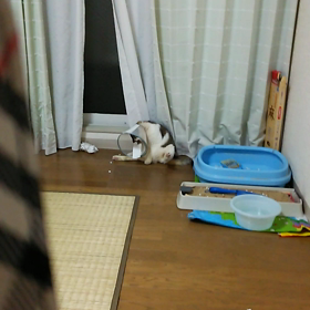 エアーキレイキレイ(о´∀`о)の画像