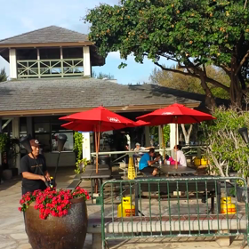 ハワイ動画♡お散歩シリーズ♪の画像