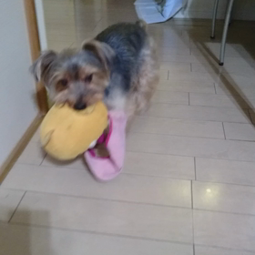 ようやく平常を取り戻しての画像