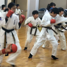 ”正道会館 新ルール『フルコンPlus』”の画像