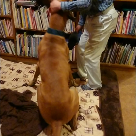 パパ大好き♥️の画像