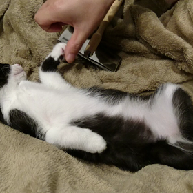 爆睡(笑)の画像