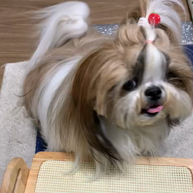 少し元気にの画像