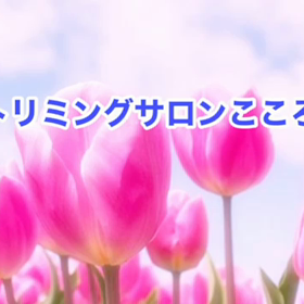 4月　〜スライドショー〜の画像