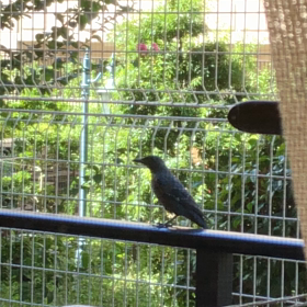 ★可愛いお客様の画像