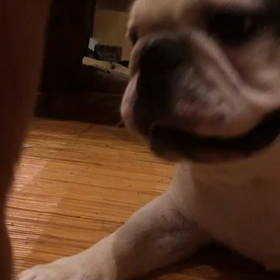 ■明日、あれんに会います！（番外編）■の画像