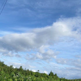 おはようございます♡の画像